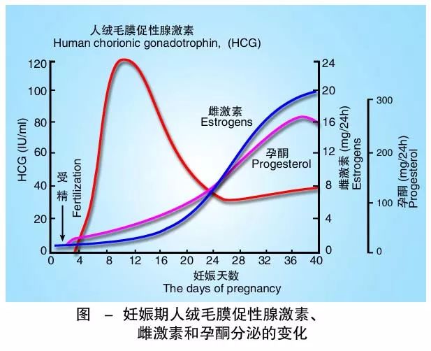 懷孕期間HCG低怎么辦？